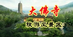 外国妞zzz中国浙江-新昌大佛寺旅游风景区